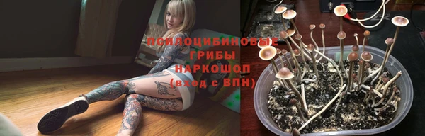 spice Медногорск