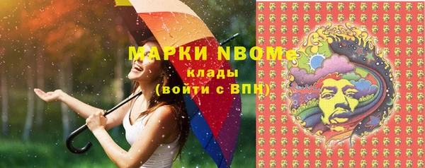 шишки Михайловка