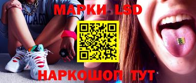 тгк Камышлов