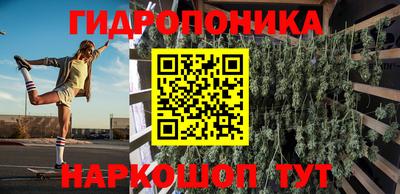 стаф Абакан