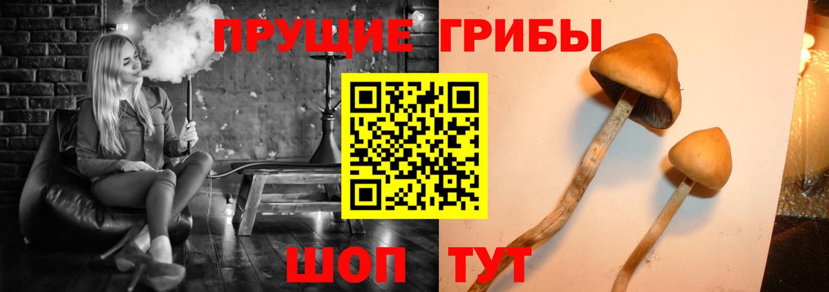 как найти закладки  Псилоцибиновые грибы мухоморы  Вход с VPN  Коломна 